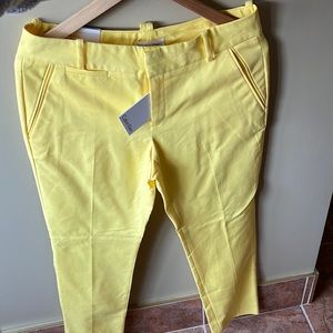 Calvin Klein pants with tags 6X29”